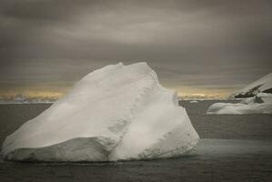 Paulet island , Antartic landscape, south pole photo