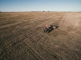 Tractor and seeder, direct sowing in the pampa, Argentina photo