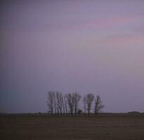 Landscape with windmill at sunset, Pampas, Patagonia,Argentina photo