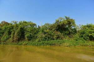 río paisaje y selva,pantanal, Brasil foto