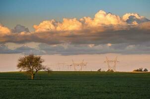 Rural landscape, Buenos Aires province , Argentina photo