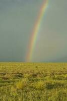 Rural landscape,and rainbow,Buenos Aires province , Argentina photo