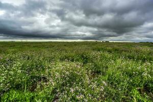 Rural landscape stormy, Buenos Aires province , Argentina photo