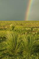 Rural landscape,and rainbow,Buenos Aires province , Argentina photo