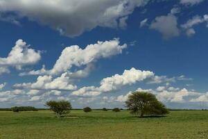 Landscape with clouds in La Pampa, Patagonia , Argentina photo