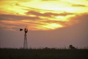 Windmill in the field, at sunset, Pampas, Argentina photo