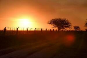 puesta de sol en el campo, la pampa, argentina foto