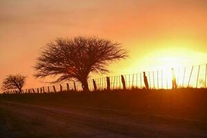 rural paisaje, buenos aires provincia , argentina foto