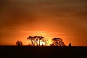 Rural landscape, Buenos Aires province , Argentina photo