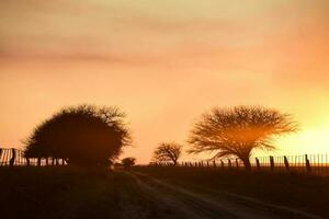 puesta de sol en el campo, la pampa, argentina foto