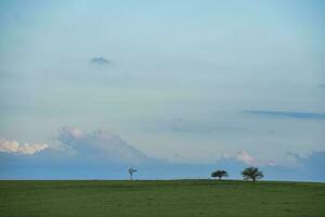 Rural landscape, Buenos Aires province , Argentina photo