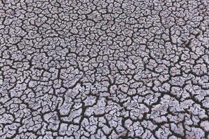 Cracked dry soil, Patagonia, Argentina photo