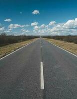 Route in the Pampas plain, Patagonia, Argentina photo