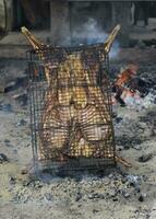 Lamb on the spit photo