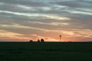 Windmill in countryside at sunset, Pampas, Patagonia,Argentina. photo