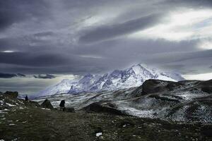 Torres del Paine National Park landscape, Patagonia, Chile. photo