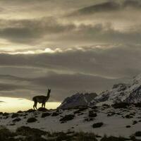 Mountain landscape environment, Torres del Paine National Park, Patagonia, Chile. photo