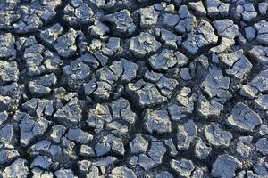 Cracked ground pattern in the desert, La Pampa, Argentina photo