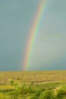 Rural landscape and rainbow,Buenos Aires province , Argentina photo