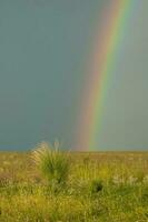 Rural landscape and rainbow,Buenos Aires province , Argentina photo