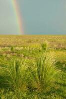 Rural landscape and rainbow,Buenos Aires province , Argentina photo