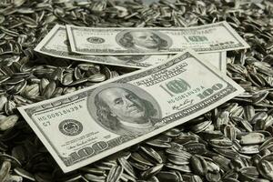Dollars banknotes and sunflower seeds, oleaginous Commodity value concept. photo