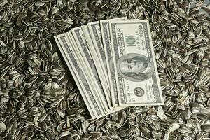 Dollars banknotes and sunflower seeds, oleaginous Commodity value concept. photo