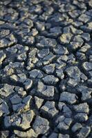 Cracked ground pattern in the desert, La Pampa, Argentina photo