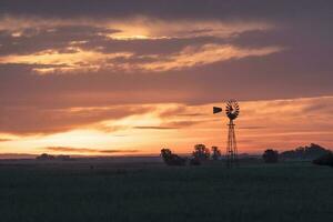 pampa puesta de sol paisaje, la pampa, argentina foto