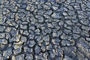 Cracked ground pattern in the desert, La Pampa, Argentina photo