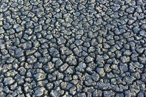 Cracked ground pattern in the desert, La Pampa, Argentina photo