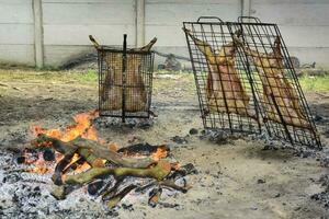 Lamb on the spit photo