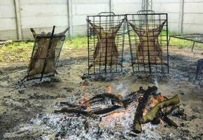 cordero al asador foto