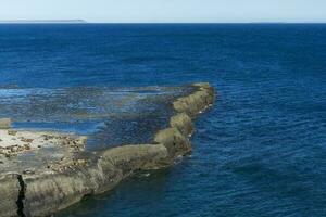 Cliffs landscape in Peninsula Valdes, Unesco World Heritage Site, Chubut Province, Patagonia, Argentina. photo