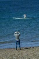 turistas acecho ballenas, observación desde el costa foto