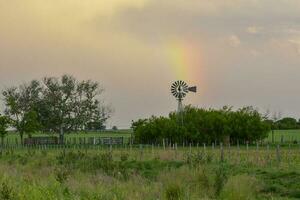 Pampas Countryside landscape, La Pampa Province, Patagonia, Argentina. photo