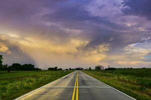 Route crossing the Pampas plain, La Pampa Province, Patagonia, Argentina. photo