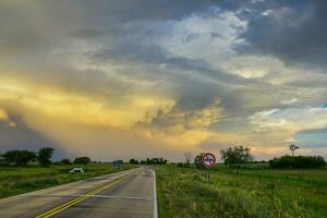 Route crossing the Pampas plain, La Pampa Province, Patagonia, Argentina. photo