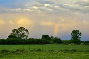 Pampas Countryside landscape, La Pampa Province, Patagonia, Argentina. photo