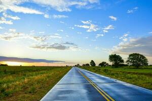 Route crossing the Pampas plain, La Pampa Province, Patagonia, Argentina. photo