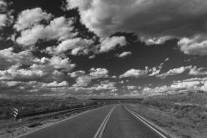 Route in the Pampas plain, Patagonia, Argentina photo