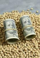 Dollars banknotes and coins and soy beans,oleaginous commoditi value concept. photo