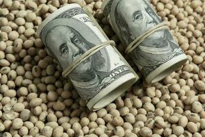 Dollars banknotes and coins and soy beans,oleaginous commoditi value concept. photo