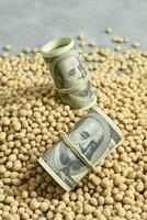 Dollars banknotes and coins and soy beans,oleaginous commoditi value concept. photo