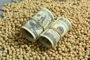 Dollars banknotes and coins and soy beans,oleaginous commoditi value concept. photo