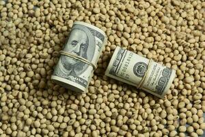 Dollars banknotes and coins and soy beans,oleaginous commoditi value concept. photo