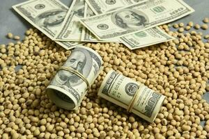 Dollars banknotes and coins and soy beans,oleaginous commoditi value concept. photo