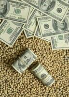 Dollars banknotes and coins and soy beans,oleaginous commoditi value concept. photo