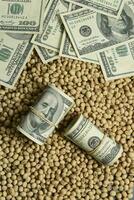 Dollars banknotes and coins and soy beans,oleaginous commoditi value concept. photo