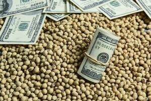 Dollars banknotes and coins and soy beans,oleaginous commoditi value concept. photo